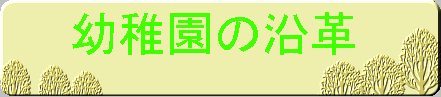 �c�t���̉��v